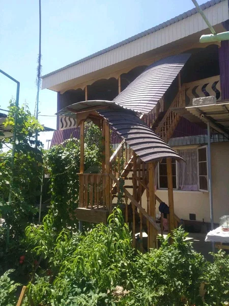 Image 7