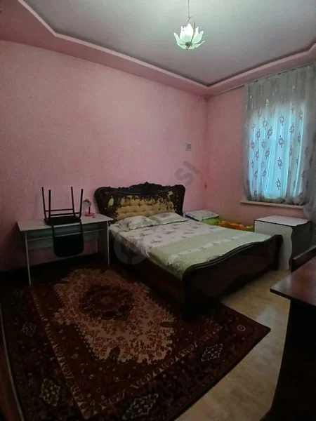 Image 11