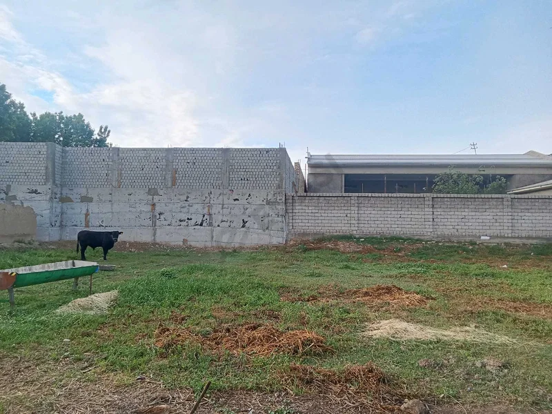 Image 11