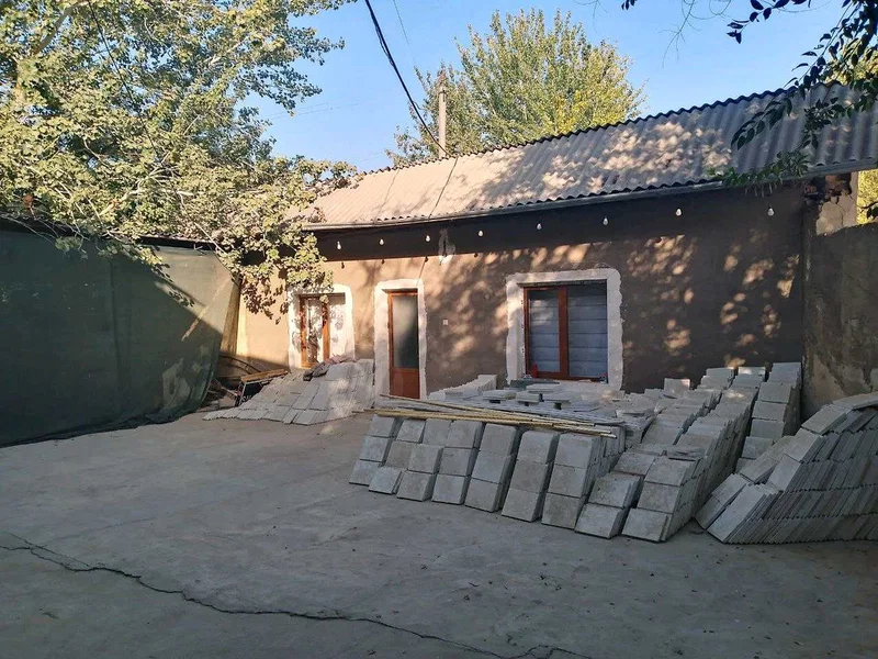 Image 11