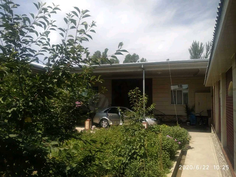 Image 9