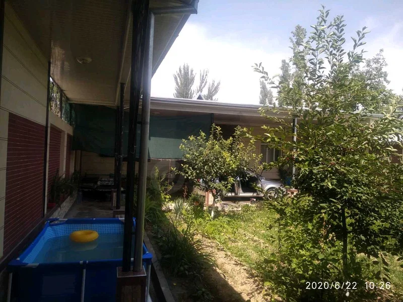 Image 11