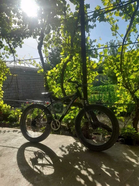 velosiped 26. - Cover Photo