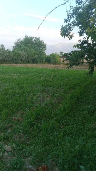 Urgutda yer sotiladi - Cover Photo