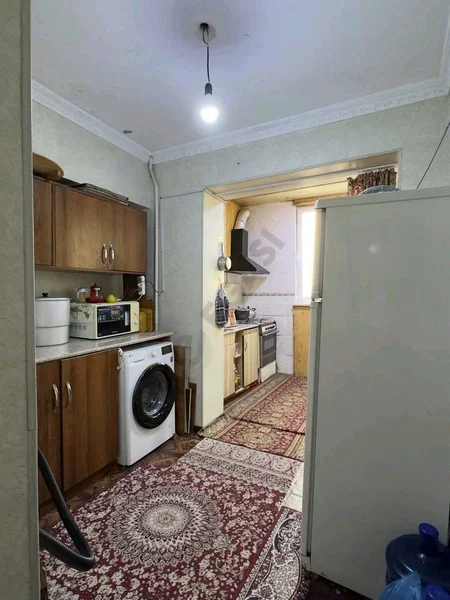 Image 7