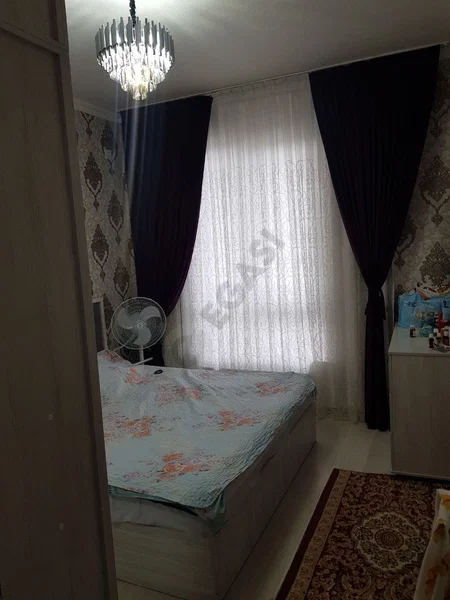Image 5