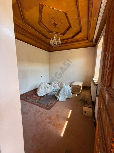 Image 13