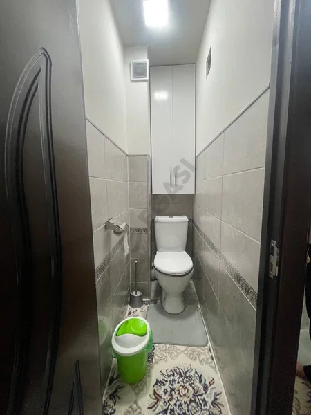 Image 8