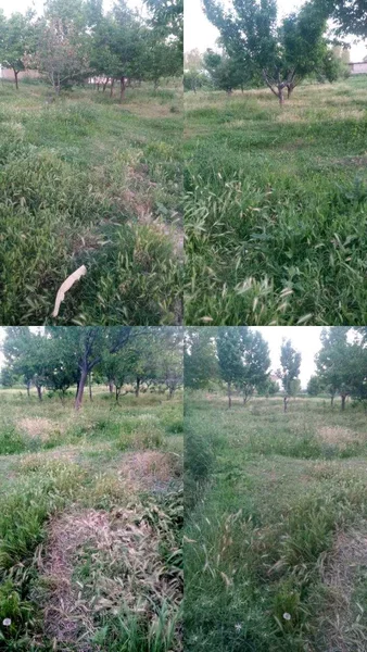 Sotiladigan uchastka bor - Cover Photo