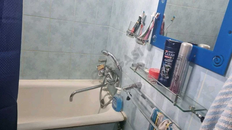Image 8