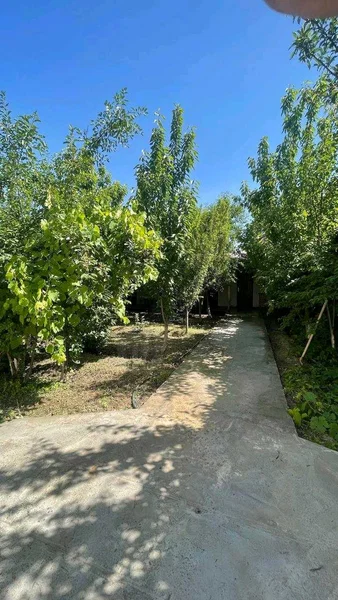 Dacha toytepa - Cover Photo