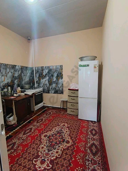 Image 8