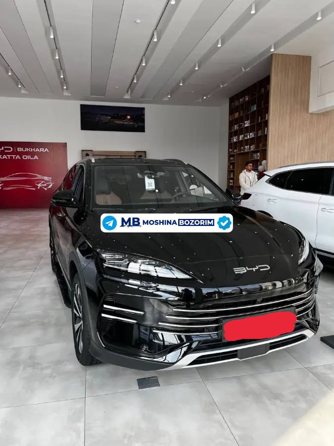 BYD 2024 - Cover Photo