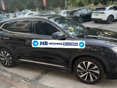 BYD Champion 2024 - Cover Photo