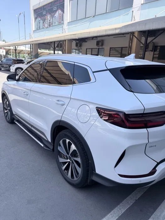 BYD Champion 2025 - Cover Photo