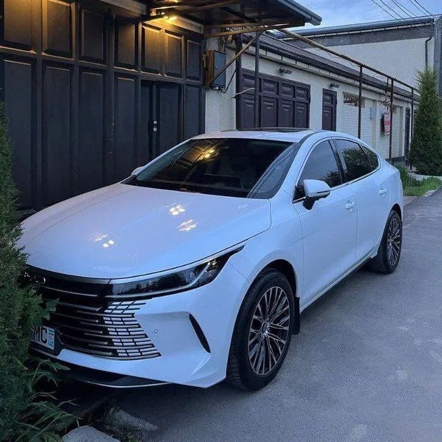 BYD Chazor 2023 - Cover Photo