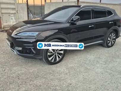 BYD Champion 2024 - Cover Photo