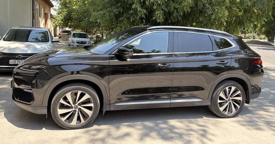 BYD Champion 2024 - Cover Photo
