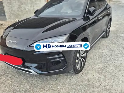 BYD Champion 2024 - Cover Photo