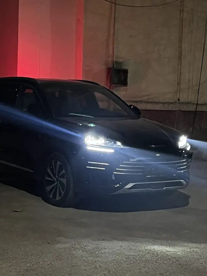 BYD Champion 2025 - Cover Photo